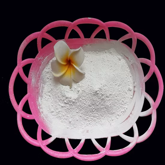 Matière première anatase de dioxyde de titane de pigment blanc pour la fabrication de peinture